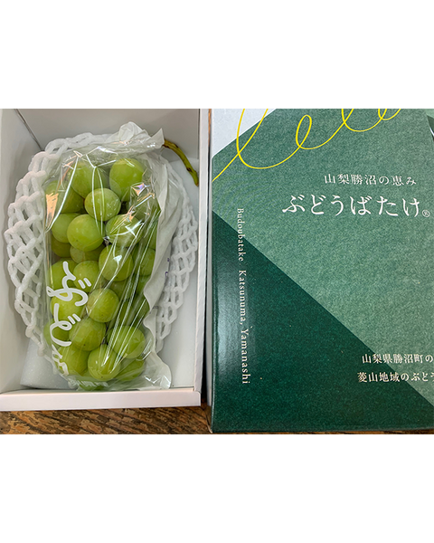 【贈答用・品種別】【温室】贈答シャイン１房（贈答箱）