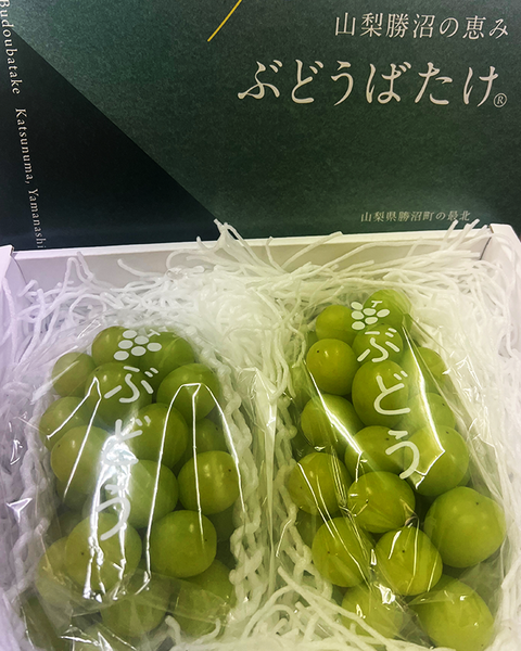 【贈答用・品種別】【温室】贈答シャイン２房（贈答箱）