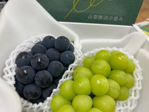 贈答用温室ぶどう詰め合わせ  (シャイン・ピオーネ)