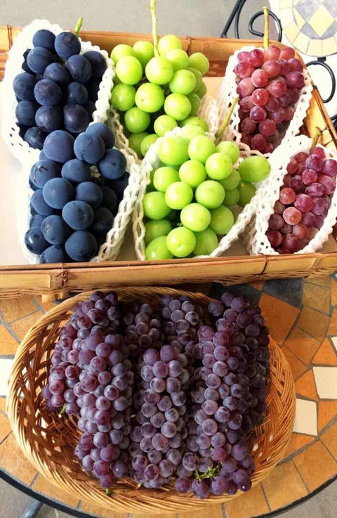 [金額別]旬の詰め合わせ贈答葡萄100           8月下旬まで温室シャインマスカット入り