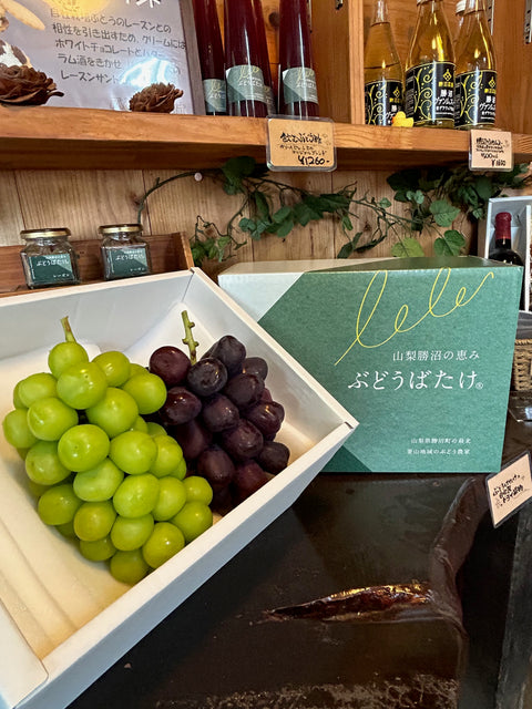 ［金額別］旬の詰め合わせ贈答葡萄５０（シャイン入り）　８月下旬まで温室シャインマスカット入り