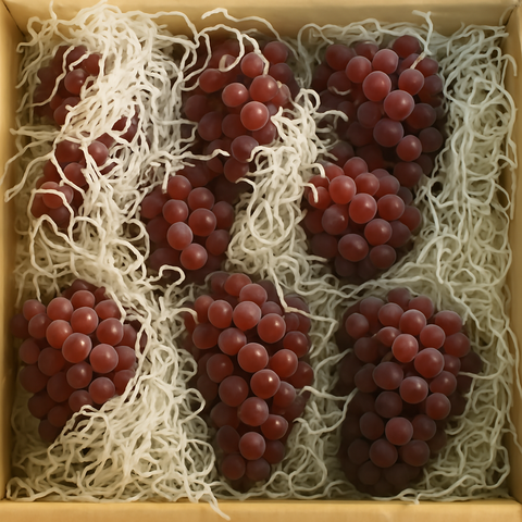 贈答用デラウエア55