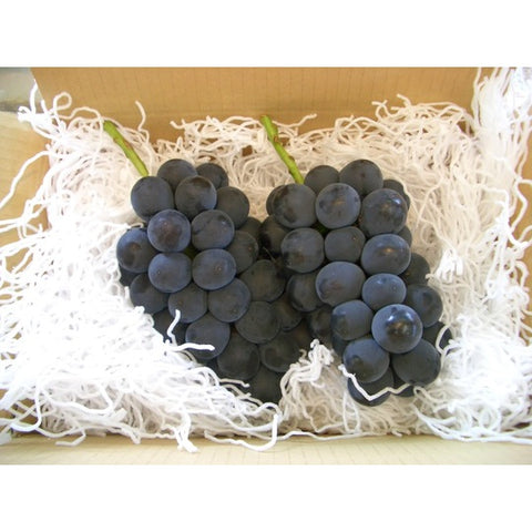 贈答用巨峰３５