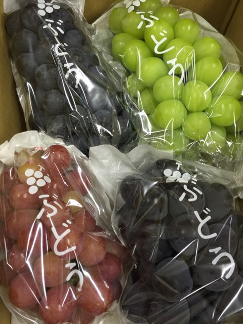 [金額別]旬の詰め合わせ贈答葡萄80           8月下旬まで温室シャインマスカット入り