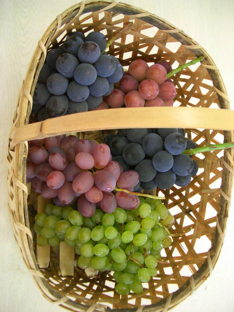 家庭用詰め合わせぶどう45   旬の形の不揃いな完熟ぶどう達をお届けします