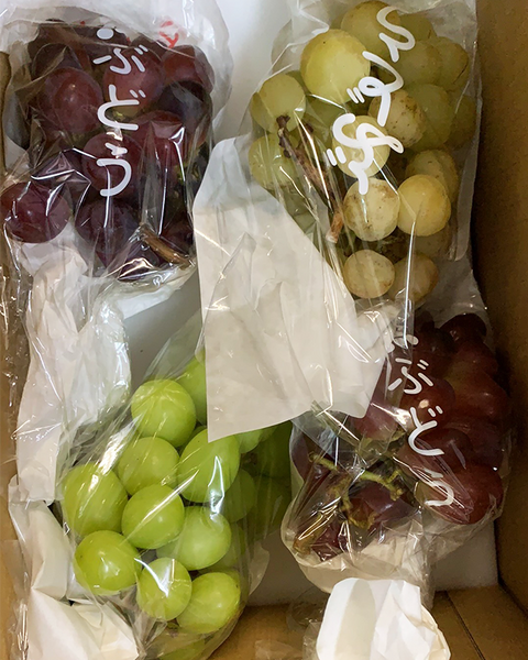【家庭用3,500円・詰合せ】ぶどう詰め合わせ８月中旬から出荷します。少量食べきり