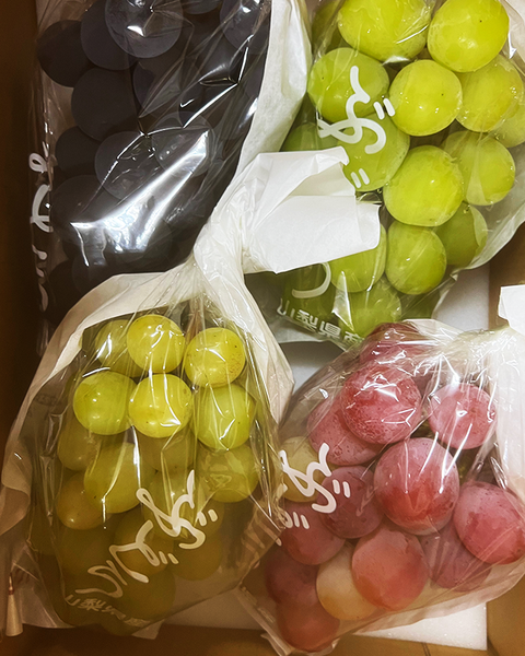 【家庭用5,500円・詰合せ】ぶどう詰め合わせ　８月下旬から出荷します。シャイン入り　