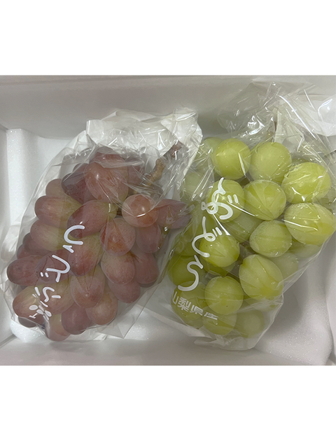【贈答用5,000円・詰合せ】贈答　８月下旬から路地シャイン収穫後　２房位の詰め合わせ