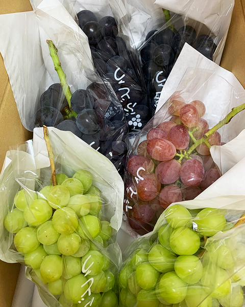 【贈答用8,000円・詰合せ】お盆の詰め合わせ等（温室シャイン入り）/期日指定　４房位入ります